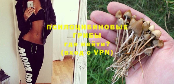 a pvp Сафоново